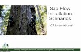 Sap Flow Installation Scenarios - ICT International
