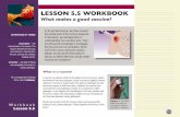 LESSON 5.5 WORKBOOK - wikis.uit.tufts.edu