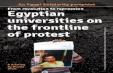 From revolution to repression Egyptian universities on the ...