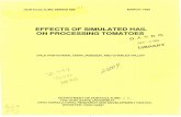 EFFECTS OF SIMULATED HAIL ON PROCESSING TOMATOES u,c
