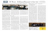 The Harborview Senior Poll Results, New Bands, Sports In ...