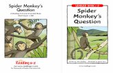 Spider Monkey’s Question