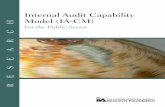 Internal Audit Capability Model (IA-CM)