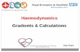 Haemodynamics Gradients & Calculations