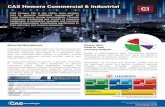 CAS Hemera Commercial & Industrial