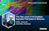 From Total Losses to Full Circulation: Degradable Fluid ...