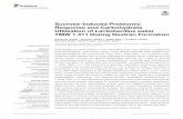 Sucrose-Induced Proteomic Response and Carbohydrate ...