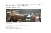 NI 43-101 Technical Exploration Report Billali Mine, New ...