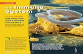 LESSON 1 Immune System