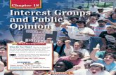 Chapter 18: Interest Groups and Public Opinion