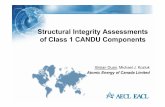 Structural Integrity Assessments of Class 1 CANDU Components