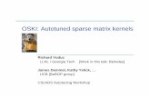 OSKI: Autotuned sparse matrix kernels