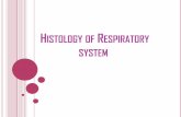 Histology of Respiratory system - cmed.tu.edu.iq