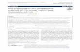 Anti-angiogenesis and apoptogenic potential of the brown ...