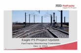 Eagle P3 Project Update