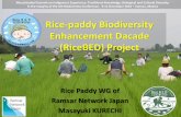 Report on Rice-paddy Biodiversity Enhancement Dacade ...