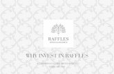 WHY INVEST IN RAFFLES - Accor