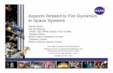 Aspects Related to Fire Dynamics in Space Systems