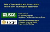 Role of hydroperiod and fire on carbon dynamics of a ...