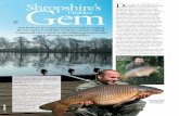 Gem Shropshire’s D - Carp Waters, Exclusive Carp Fishing ...