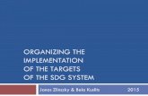 ORGANIZING THE IMPLEMENTATION OF THE TARGETS OF THE SDG SYSTEM