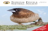 Journal of the National Finch and NatioNal FiNch SSoftbill ...