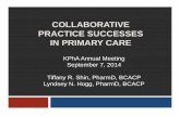Collaborative Practice Successes in Primary Care- FINAL ...