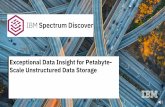 Exceptional Data Insight for Petabyte- Scale Unstructured ...