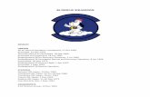 36 RESCUE FLT - USAF LINEAGE AND HONORS