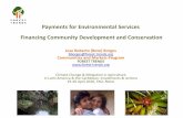 Payments for Environmental Services Financing Community ...
