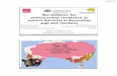 Surveillance for antimicrobial resistance in enteric ...