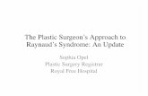 The Plastic Surgeon’s Approach to Raynaud’s Syndrome: An ...