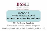 WALANT Wide Awake Local Anaesthetic No Tourniquet