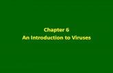 Chapter 6 An Introduction to Viruses