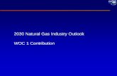 2030 Natural Gas Industry Outlook WOC 1 Contribution