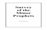 20b-Survey of the Minor Prophets - AIBI