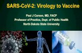 SARS-CoV-2: Virology to Vaccine