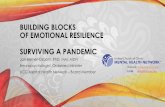 Building Blocks of Emotional Resilience Surviving a Pandemic