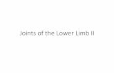 Joints of the Lower Limb II - كلية الطب