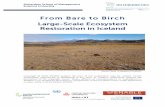 From Bare to Birch Large-Scale Ecosystem Restoration in ...