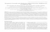 Conocybe and Pholiotina (Agaricomycotina, Bolbitiaceae) in ...