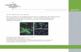 Prevention of inflammatory cellular responses by ethanol ...