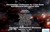 Visualization Challenges for Large Scale Astrophysical ...