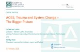 ACES, Trauma and System Change The Bigger Picture