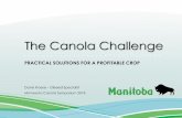 The Canola Challenge