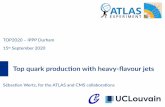 Top quark production with heavy-flavour jets