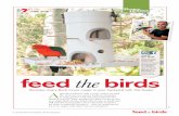 feed the birds - s.yimg.com