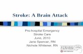 Stroke: A Brain Attack - Saint Alphonsus