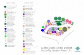 ccwd butterfly garden 121420 - ccwater.com