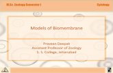 Models of Biomembrane